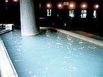 君田温泉 森の泉.jpg