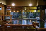 赤湯温泉 むつみ荘.jpg