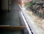 船原温泉 ほたる.jpg