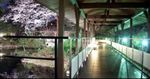 辰口温泉01.jpg