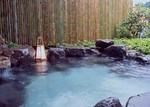 名栗温泉 大松閣.jpg