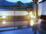 弥彦温泉 みのや.jpg